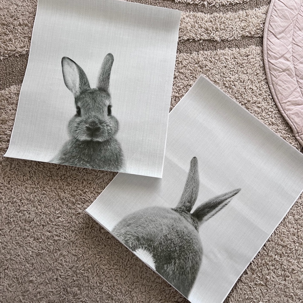 Gray Rabbit Canvas Art Set nursery/kids room